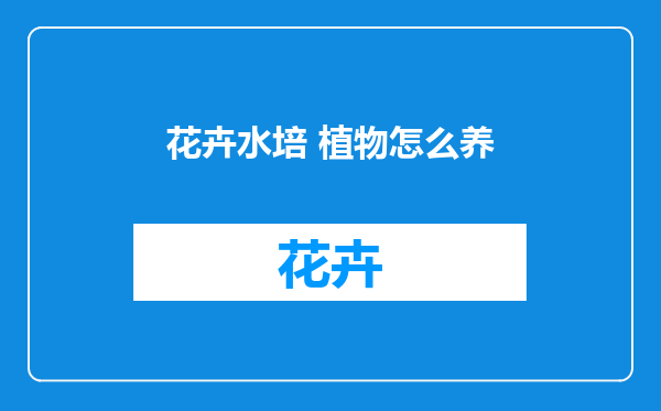 花卉水培 植物怎么养