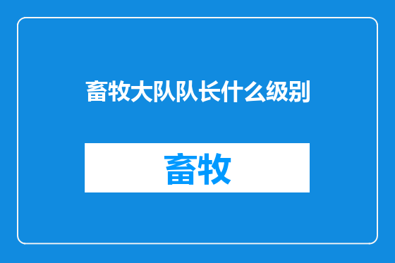 畜牧大队队长什么级别