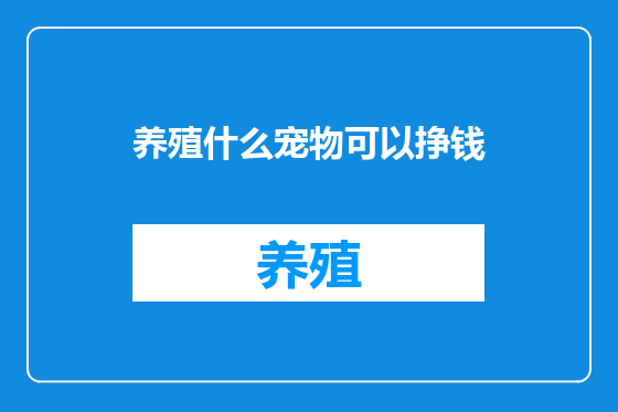 养殖什么宠物可以挣钱