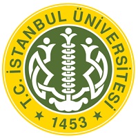 伊斯坦布尔大学